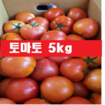 토마토 5kg /크기랜덤, 1개, 토마토(5kg)