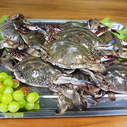 [라이프마켓] 가장 싱싱하고 맛있는 서해안에서 잡은 국내산 최상급 급냉 꽃게, 4kg, 1개