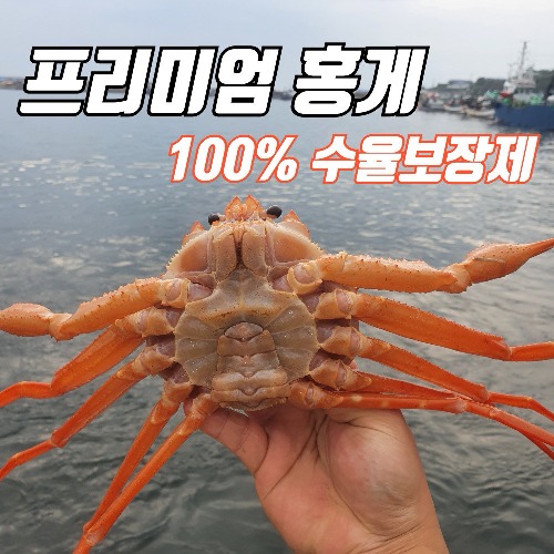 [선주직송] 구룡포 자숙 홍게 3kg(8~12마리) 산지직송 빠른배송